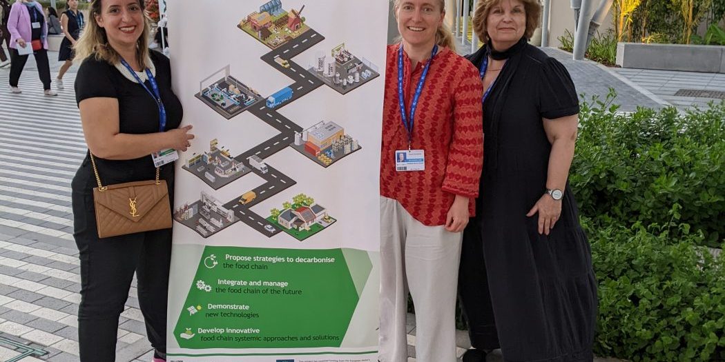 PXL_20231210_132829851.MP